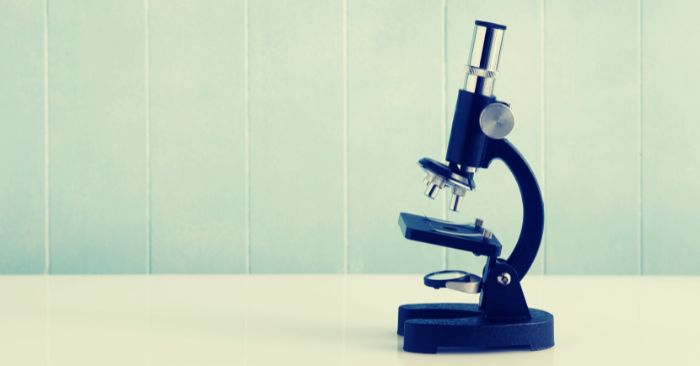 Microscope for equine fecal testing for parasites