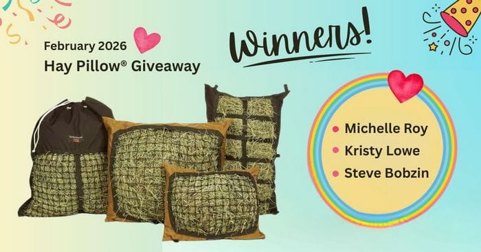 2026 Hay Pillow Giveaway - Winners