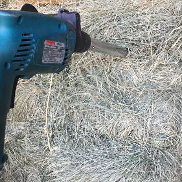 Testing hay to be analyzed with hay probe