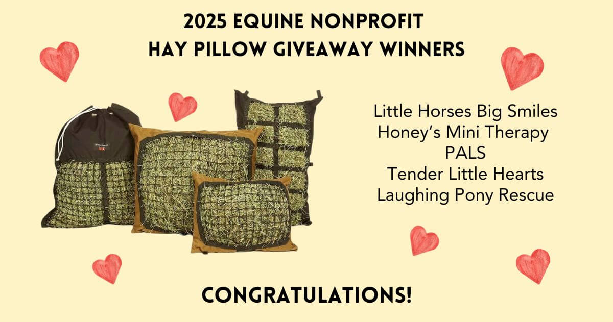 Winners announcement for nonprofit Hay Pillow Giveaway