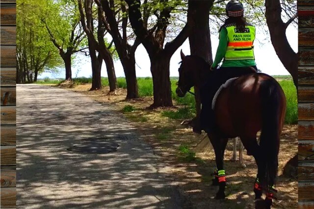 Horase and rider with high visibily riding gear.