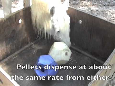 Video of horse using a Nose It 10" Enrichment Slow Feed Food Dispenser inside a feed tub.