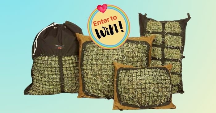 2026 Hay Pillow Giveaway - Enter to Win
