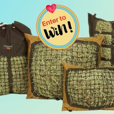2026 Hay Pillow Giveaway - Enter to Win