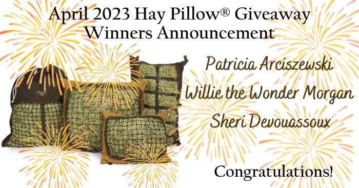 April 2023 Hay Pillow Giveaway - Enter to Win