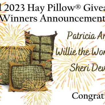April 2023 Hay Pillow Giveaway - Enter to Win
