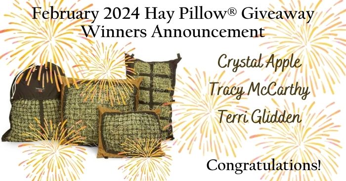 Hay Pillow giveaway winners announcement