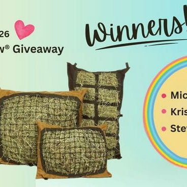 2026 Hay Pillow Giveaway - Winners
