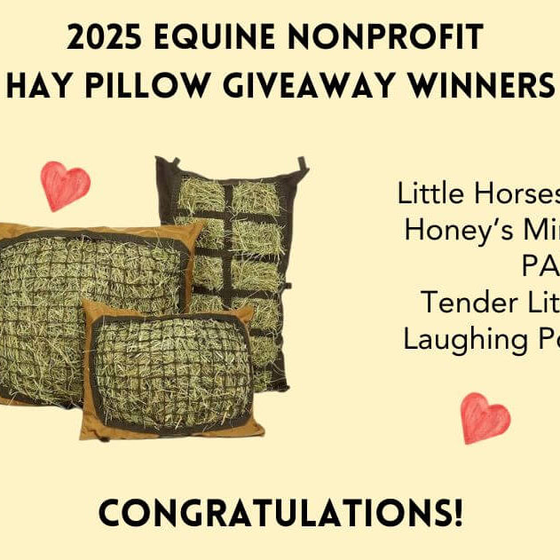 Winners announcement for nonprofit Hay Pillow Giveaway