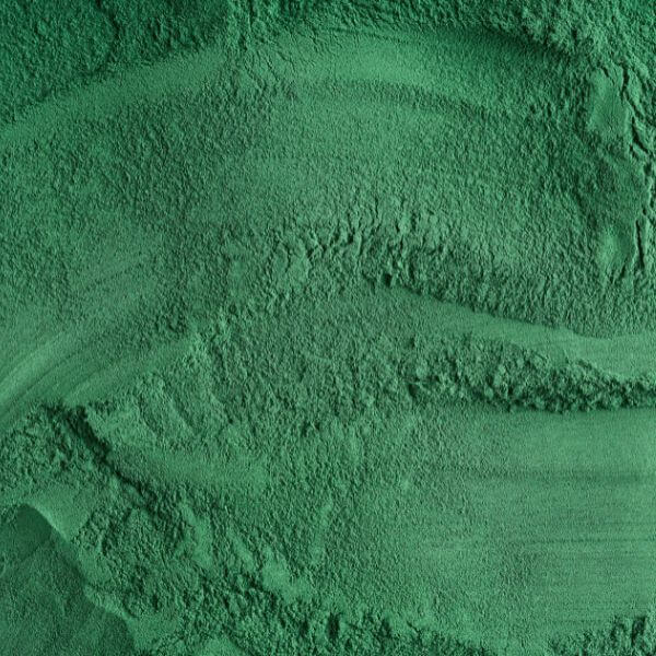 Picture of dark green Spirulina Microalgae Powder.
