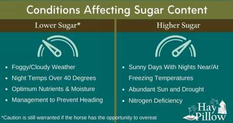 Chart of conditions affecting sugar content of pasture and hay showing lower sugar and higher sugar..