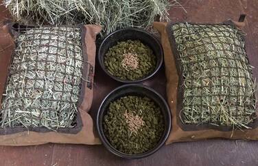 Two Hay Pillows and grain ready for feeding horses.