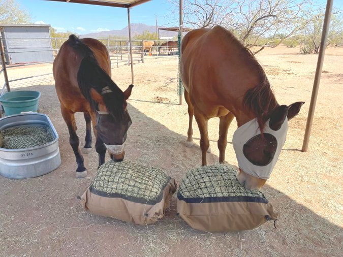 Two bay horses with fly masks on eating from two Hay Pillow slow feeders on the ground near a water trough.