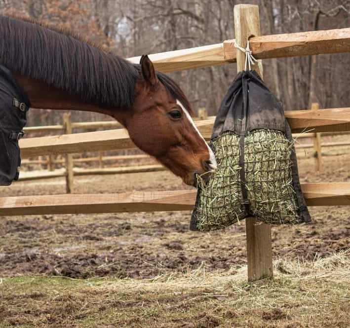 horse eating from a hanging hay pillow slow feed bag hung on a fence post.