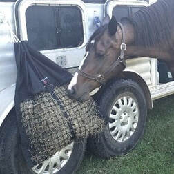 Horse eating from hanging hay pillow trailer side.