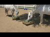 Customer Video of two gray horses eating hay from Standard Hay Pillow Slow Feeder Hay Bags in a large paddock. 