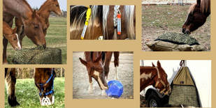 Collage of horses using Hay Pillow slow feed products.