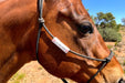Bay horse with wrap around emergency ID on rope halter.