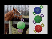 Video of horse playing with Jolly Tug 14" Horse Ball Enrichment Toy.