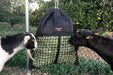 Two goats eating hay from Hanging Hay Pillow slow feed hay bag.