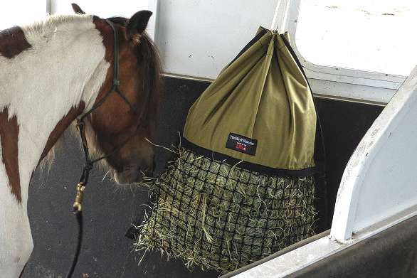 Paint horse eating hay from Hanging Hay PIllow slow feed hay bag inside a horse trailer.