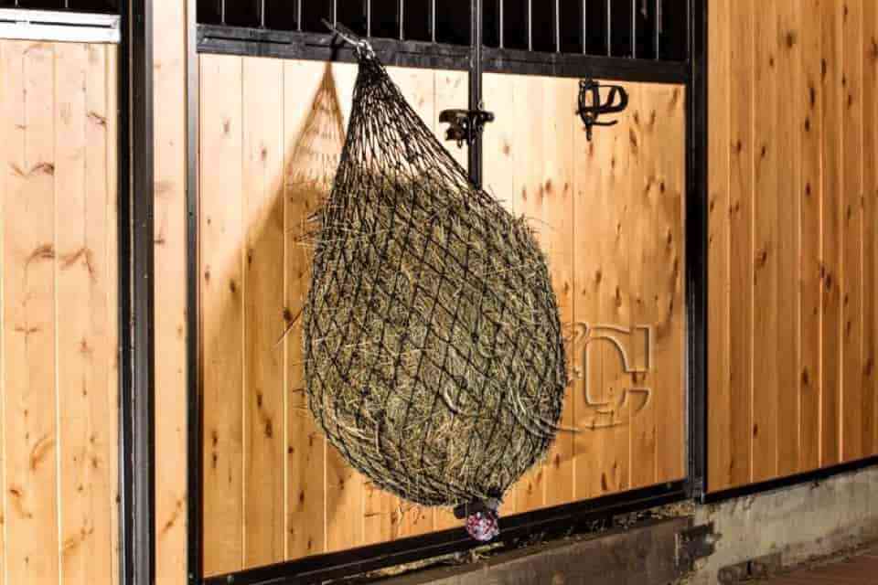 Slow feed small mesh hay net filled with hay hung on a barn stall door. 