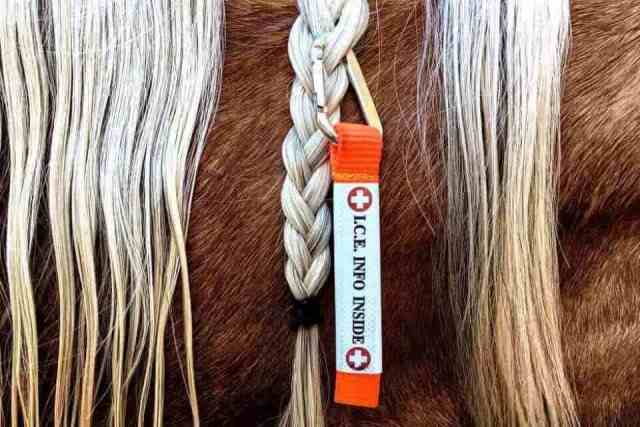 Horse's mane with Ultralite Emergency Info ID Clip-on Tag in the braid.