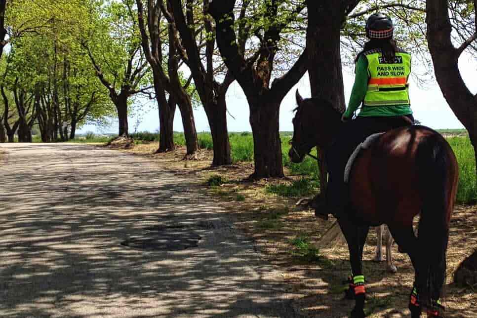 Horse and rider wearing High Viz Horse Riding Vest and reflective leg wraps while riding along a tree-lined lane in the country.. 