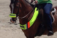 Horse wearing High Visibility Horse Breast Plate.