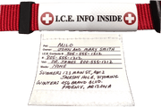 Wrap around halter/collar ID illustrating the extent of the information that can be included on the ID.