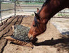 Bay horse eating from Version II Standard Hay Pillow slow feed hay bag with the netting panel installed.