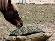 Horse eating from a Version II Standard Hay Pillow bag with the netting panel installed.