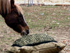 Horse eating from a Version II Standard Hay Pillow bag with the netting panel installed.