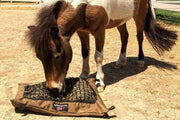 Miniature paint horse eating from Mini Hay Pillow Slow Feeder Hay Bag on the ground.