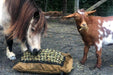 Miniature horse and goat eating from Mini Hay Pillow Slow Feeder Hay Bag.