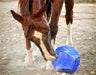 Picture of horse rolling a blue Nose It 10" Enrichment Slow Feed Food Dispenser.