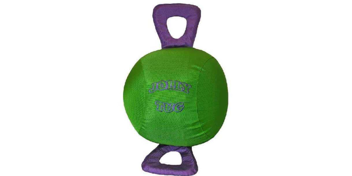 Horse ball toy discount