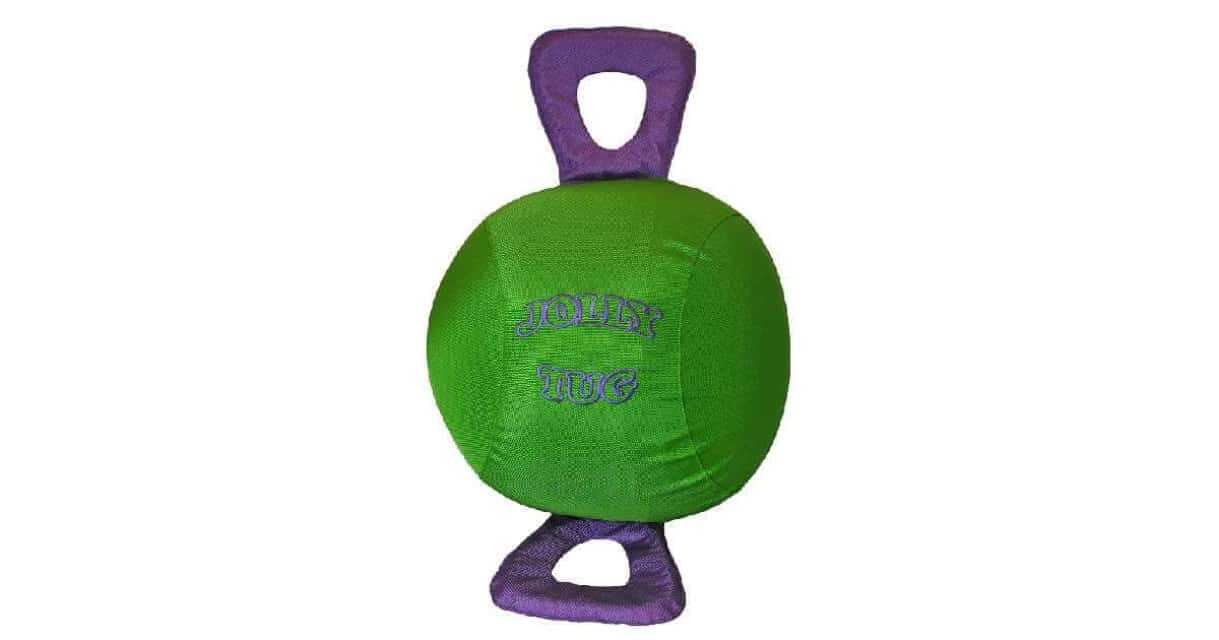 Green and purple Jolly Tug 14" Horse Ball Enrichment Toy.