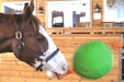 Horse playing with Jolly Tug 14" Horse Ball Enrichment Toy.