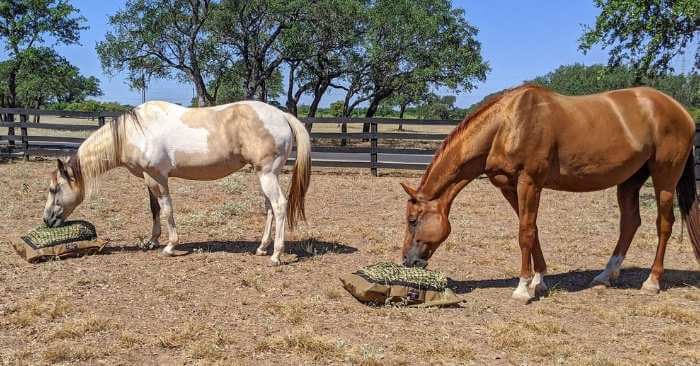 Two horses eating from Hay Pillow slow ground feeder bags