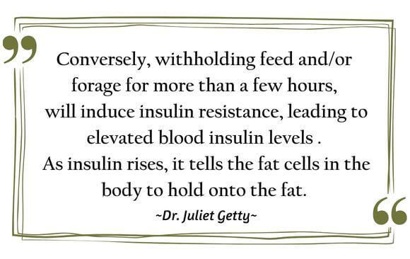 Conversely, withholding feed and/or  forage for more than a few hours,  will induce insulin resistance, leading to elevated blood insulin levels .  As insulin rises, it tells the fat cells in the body to hold onto the fatPicture