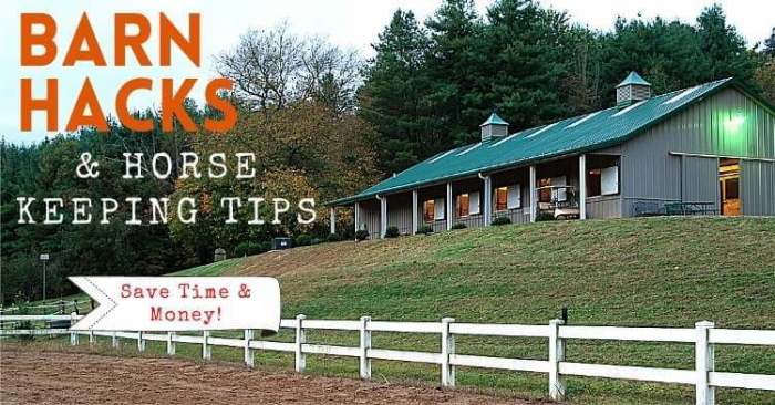 Barn Hacks and Horse Keeping Tips