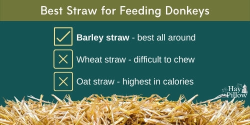 Best straw for feeding donkeys