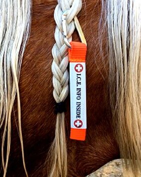 Ultra Lite Equine emergency ID tag horse keeping tip