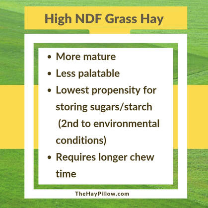 Benefits of Higher NDF Grass Hay