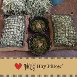 Miniature horse meal prep with Mini Hay Pillows