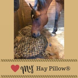 Horse eating from a Hay Pillow slow feeder in a stall
