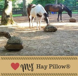 Two horses and a goat eating from Hay Pillow ground feeders.