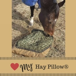 Horse nibbling on vet recommended ground slow feed hay bag