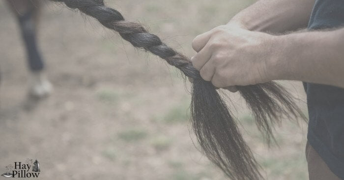 Horse tails - potential dangers using wraps, braids and bags